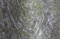 Monkton Combe fibreglass roof work